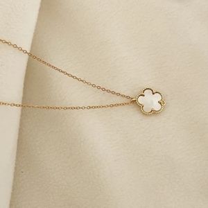 18K Gold Plated Stainless Steel Flower Shell Pendant Necklace.